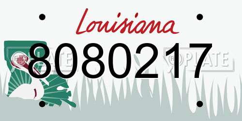 8080217 Louisiana License Plate