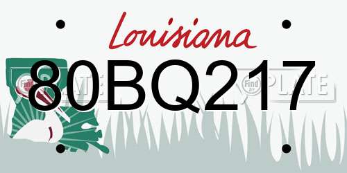 80BQ217 Louisiana License Plate