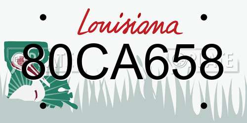 80CA658 Louisiana License Plate