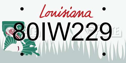 80IW229 Louisiana License Plate