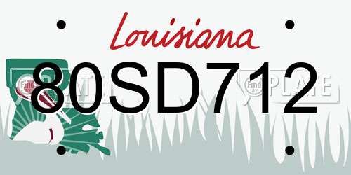 80SD712 Louisiana License Plate