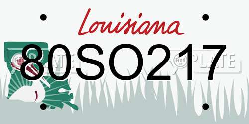 80SO217 Louisiana License Plate