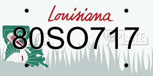 80SO717 Louisiana License Plate