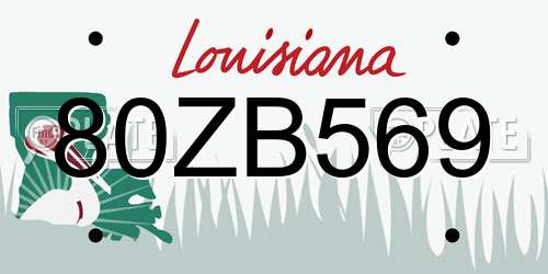 80ZB569 Louisiana License Plate