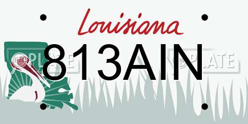 813AIN Louisiana License Plate