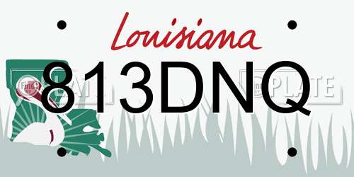 813DNQ Louisiana License Plate