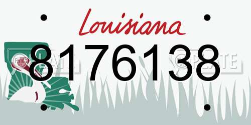 8176138 Louisiana License Plate