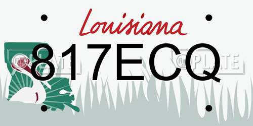 817ECQ Louisiana License Plate