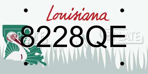8228QE Louisiana License Plate