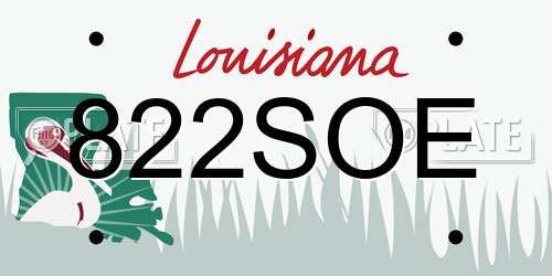 822SOE Louisiana License Plate