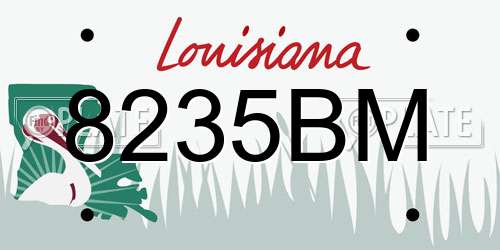 8235BM Louisiana License Plate