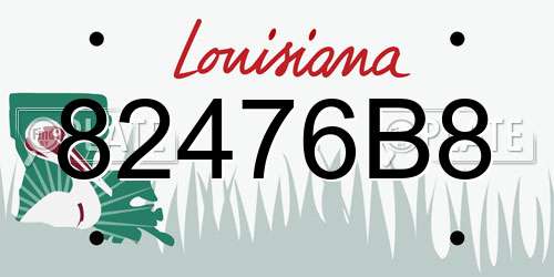 82476B8 Louisiana License Plate