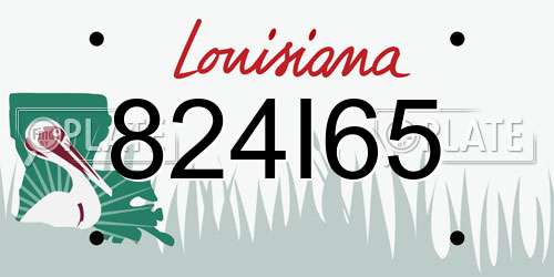 824I65 Louisiana License Plate