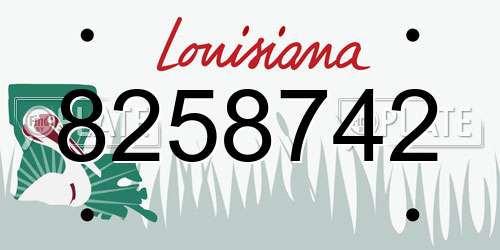 8258742 Louisiana License Plate