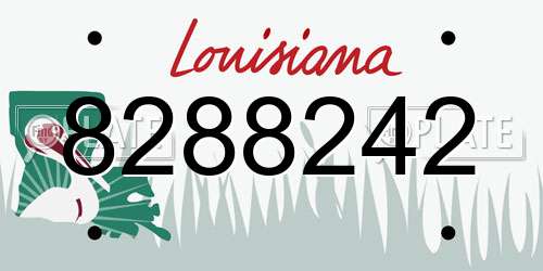 8288242 Louisiana License Plate