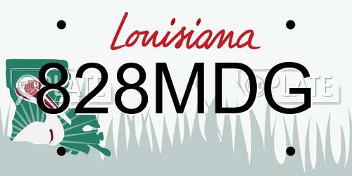 828MDG Louisiana License Plate