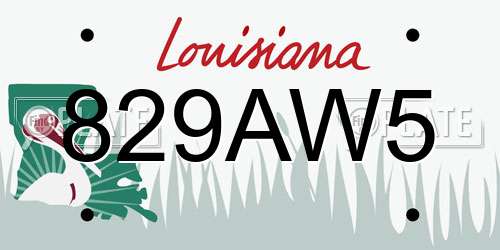 829AW5 Louisiana License Plate