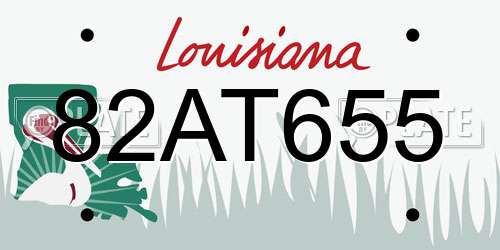82AT655 Louisiana License Plate