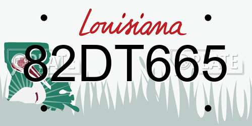 82DT665 Louisiana License Plate