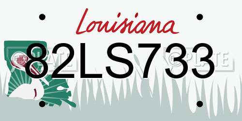 82LS733 Louisiana License Plate