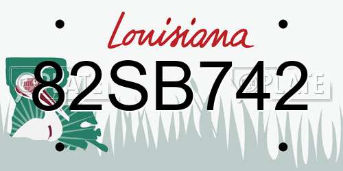 82SB742 Louisiana License Plate