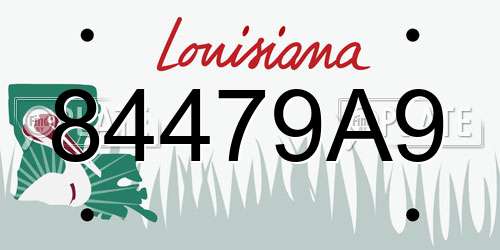 84479A9 Louisiana License Plate