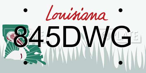 845DWG Louisiana License Plate