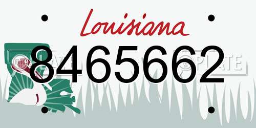 8465662 Louisiana License Plate