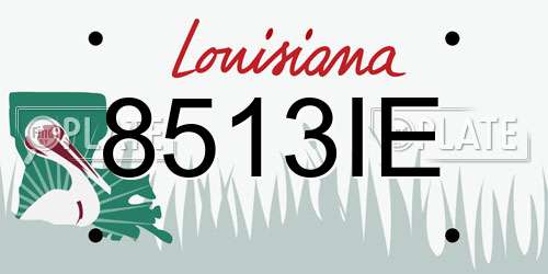 8513IE Louisiana License Plate