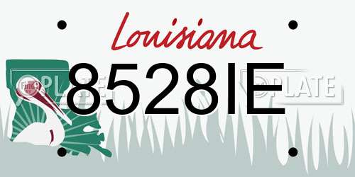 8528IE Louisiana License Plate
