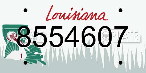 8554607 Louisiana License Plate