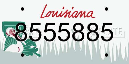 8555885 Louisiana License Plate