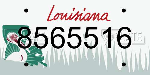 8565516 Louisiana License Plate