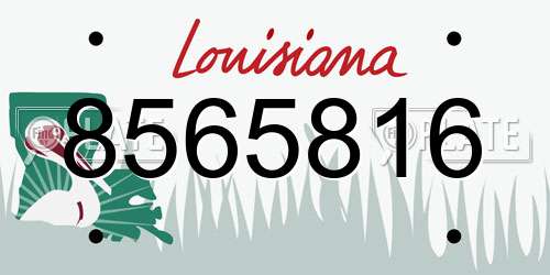 8565816 Louisiana License Plate