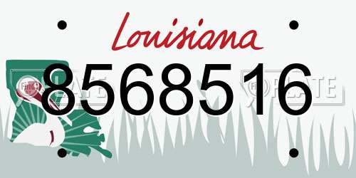8568516 Louisiana License Plate