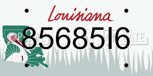 85685I6 Louisiana License Plate