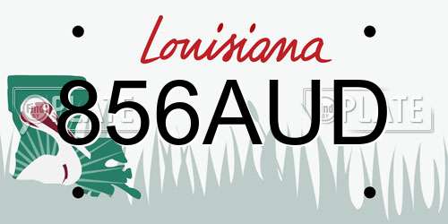 856AUD Louisiana License Plate