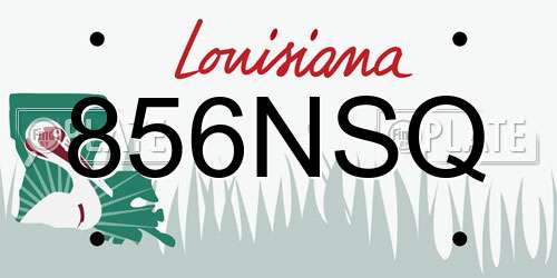 856NSQ Louisiana License Plate