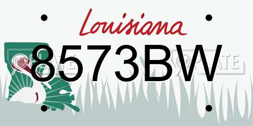 8573BW Louisiana License Plate