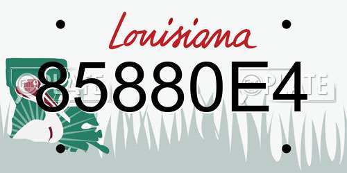 85880E4 Louisiana License Plate