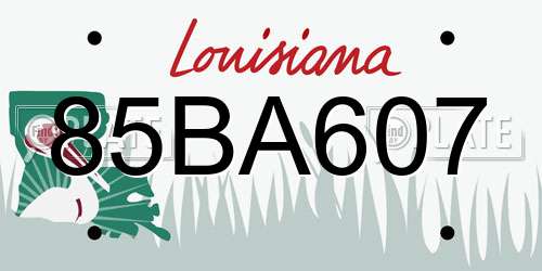 85BA607 Louisiana License Plate