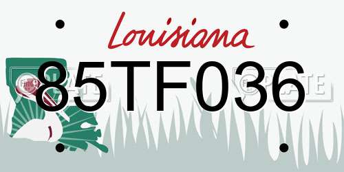 85TF036 Louisiana License Plate