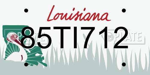 85TI712 Louisiana License Plate