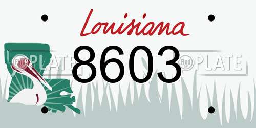 8603 Louisiana License Plate