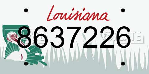 8637226 Louisiana License Plate