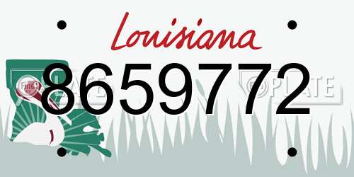 8659772 Louisiana License Plate