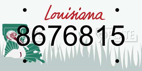 8676815 Louisiana License Plate