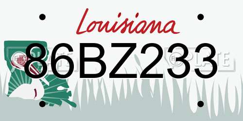 86BZ233 Louisiana License Plate