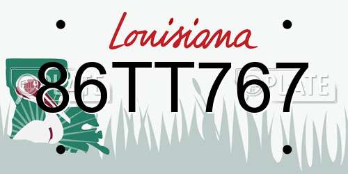 86TT767 Louisiana License Plate