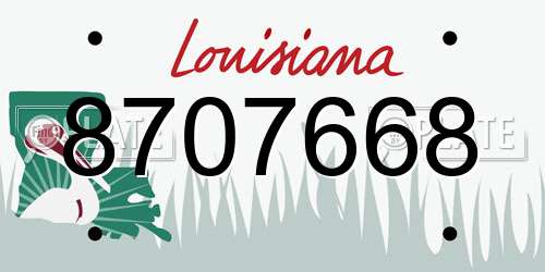 8707668 Louisiana License Plate